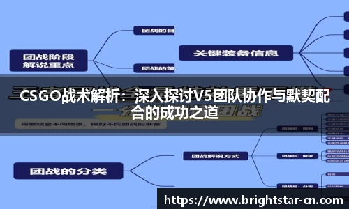 CSGO战术解析：深入探讨V5团队协作与默契配合的成功之道