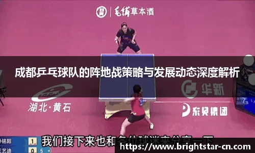 成都乒乓球队的阵地战策略与发展动态深度解析