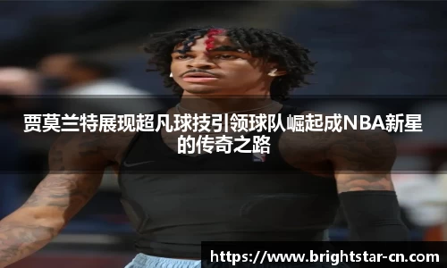 米兰体育官网