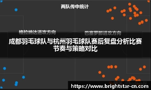 成都羽毛球队与杭州羽毛球队赛后复盘分析比赛节奏与策略对比