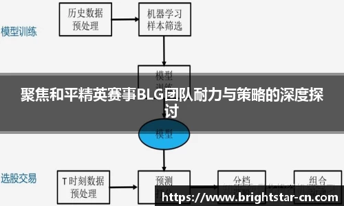 聚焦和平精英赛事BLG团队耐力与策略的深度探讨